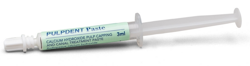 Pulpdent Paste (Calcium Hydroxide) Spritze