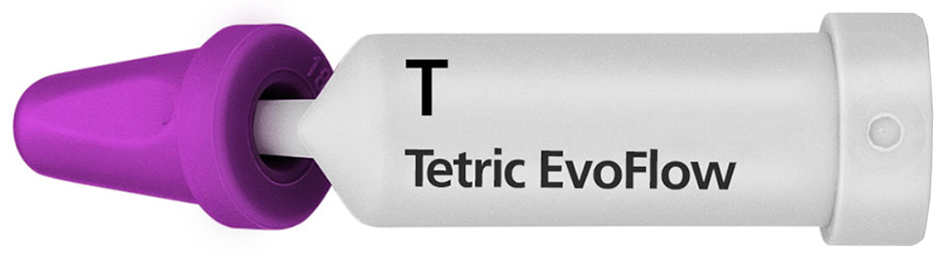 Tetric EvoFlow Cavifil T