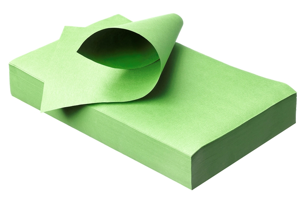 Filterpapier /Trayeinlagen 28x18cm freshgreen