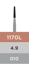 REGULAR BURS 1170L FG 5PAK (EX PN:64110)