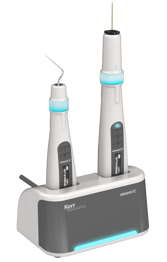 elementsIC System Typ F mit Zweifach-Ladestation (EU)