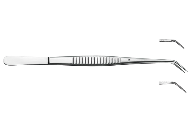 College Zahnpinzette 15cm Fig.1 kurze Spitze gerieft