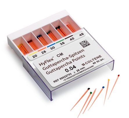 HyFlex CM Guttapercha Points .04 #20