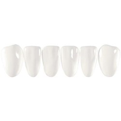 BRILLIANT COMPONEER S Set Lower Jaw Bleach Translucent S