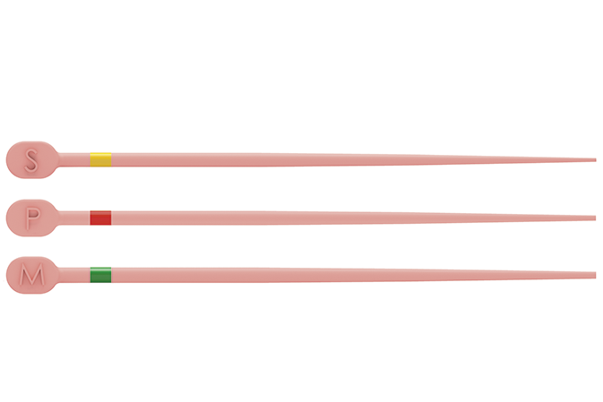 TruNatomy™ Conform Fit™ Guttapercha Sortiment