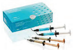 G-ænial Universal Injectable + everX Flow