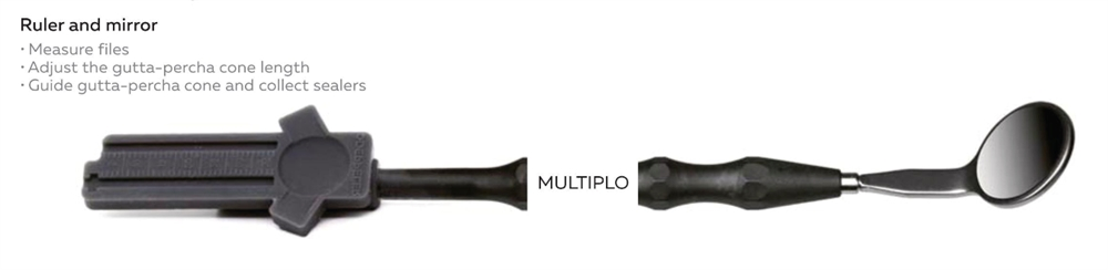 Multiplo ruler