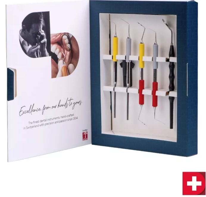 Kit SmartEndo Deppeler X Style Italiano Endodontics