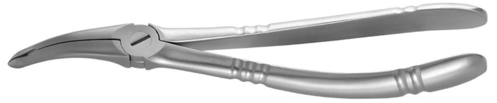 Root Forceps - lower