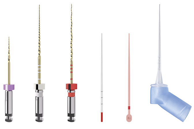 TruNatomy™ Conform Fit™ Guttapercha Sortiment